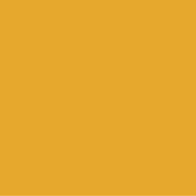 Pictura 8mm 313/128 PG742 ORANGE (ungeschnittene Kanten)