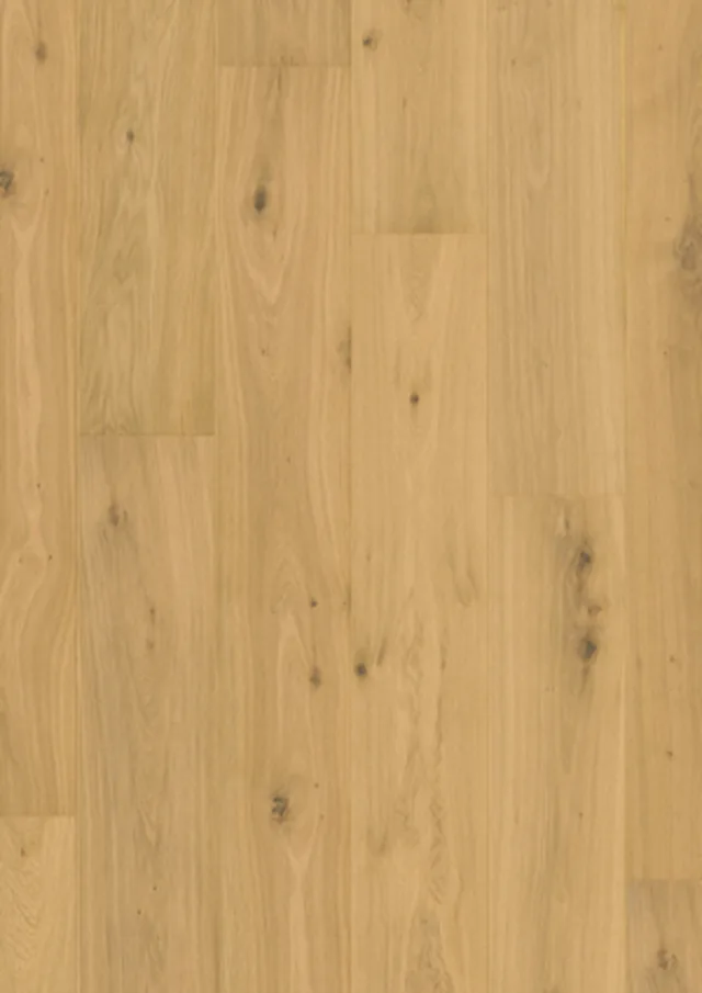 Quick-Step CAL - 5611 : Cala Chêne pur extra mat 2200x220x13 mm
