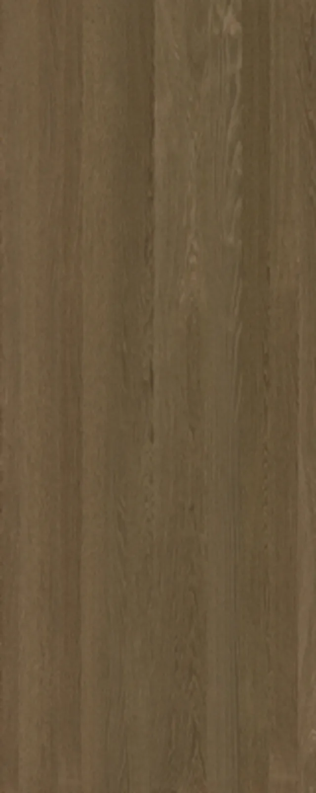 QUERKUS MDF 19,5mm - Oak Terra Mocha A/B+ - plain lisse 3050/1220