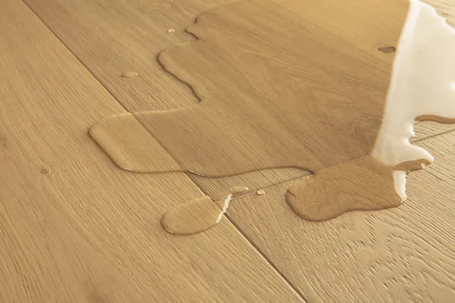 Quick-Step CAL Cala Chêne Pur Extra Mat - 2200x220 mm-7
