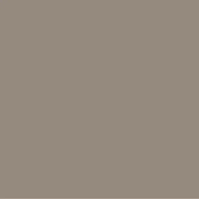 Pictura 8mm 253/128 PG844 BEIGE (bords non rectifiés)