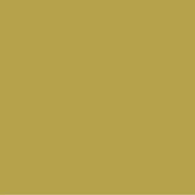 Pictura 8mm 313/128 PG542 VERT (bords non rectifiés)