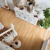 Sol stratifié LC 55 S avec sous-couche intégrée Erable 202 - Biemar Bois-1