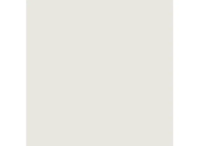 Stratifié massif GLOBAL ext blanc 2 faces 10mm 3050/1300