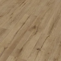 Sol Design Pro DD 250 Chêne Wild - Biemar Bois-1