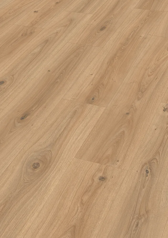 Sol stratifié LD 200 Chêne fontaine pure - Biemar Bois-1