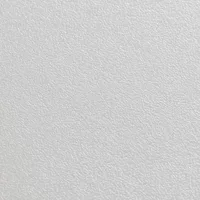 Stratifié 0625 CST + Film Silicon - Biemar Bois