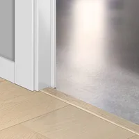 Profilé Incizo Couleur Assortie 2150x54x17 mm - Biemar Bois