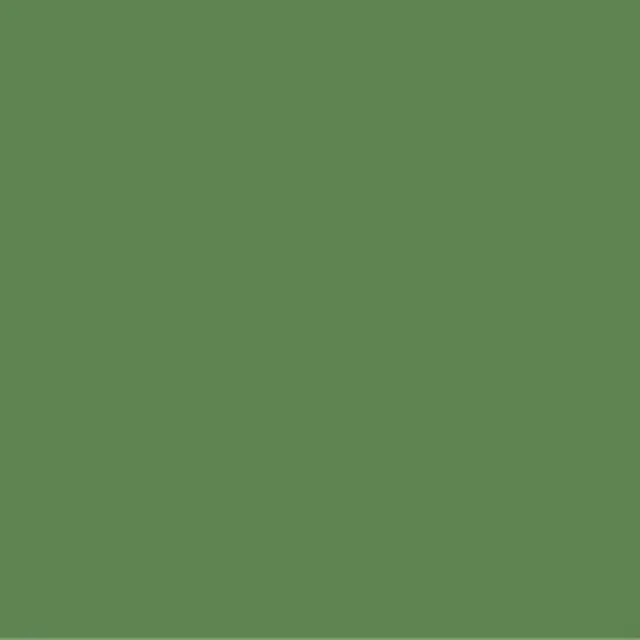 Pictura 8mm 253/128 PG545 VERT (bords non rectifiés)