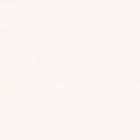 Lambris Décor Terra DP 250 Lin Fin Chaud 3300 - Biemar Bois