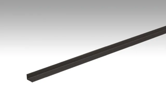 Abschlussprofil Typ 300 SK Schwarz eloxiert / 2700mm