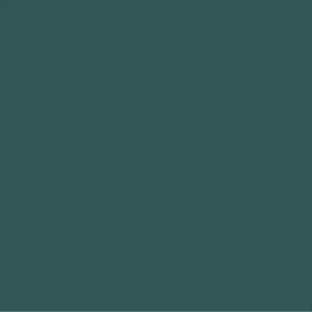 Pictura 8mm 253/128 PG546 VERT (bords non rectifiés)
