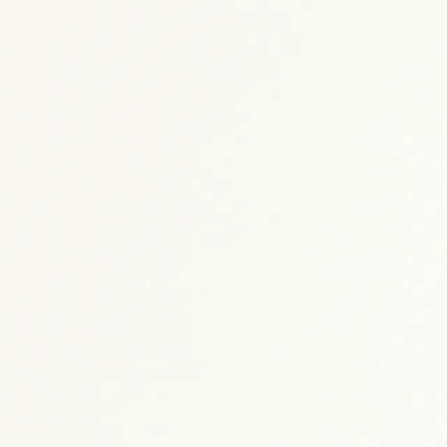 Mélaminé Unilin 8mm 00025 W03 Front white-Basic