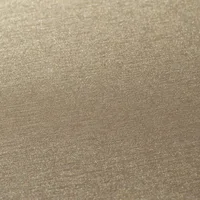 Stratifié 0F994 M01 Film Brushed Gold - Biemar Bois