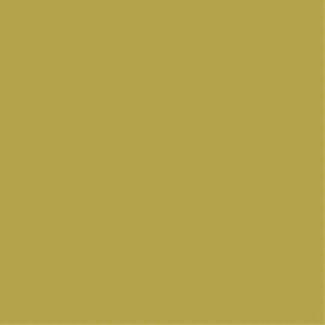 Pictura 8mm PG542 Vert - Biemar Bois