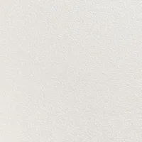 Stratifié 00025 CST FRONT WHITE - Biemar Bois