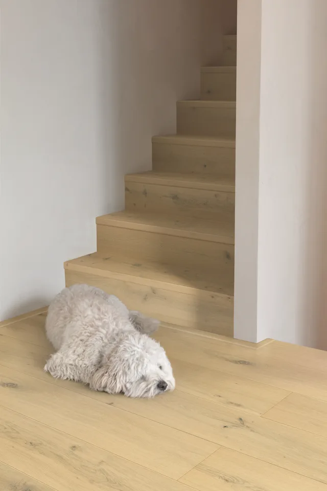 Quick-Step CAL Cala Chêne Blanc Perle Extra Mat - 2200x220 mm-6