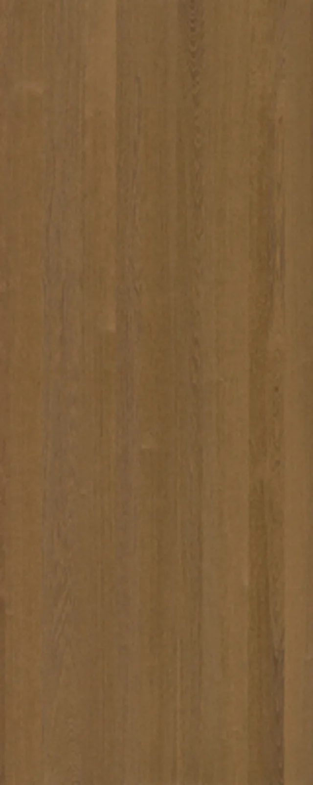 QUERKUS MDF 19,5mm - Oak Terra Camello A/B+ - plain lisse 3050/1220