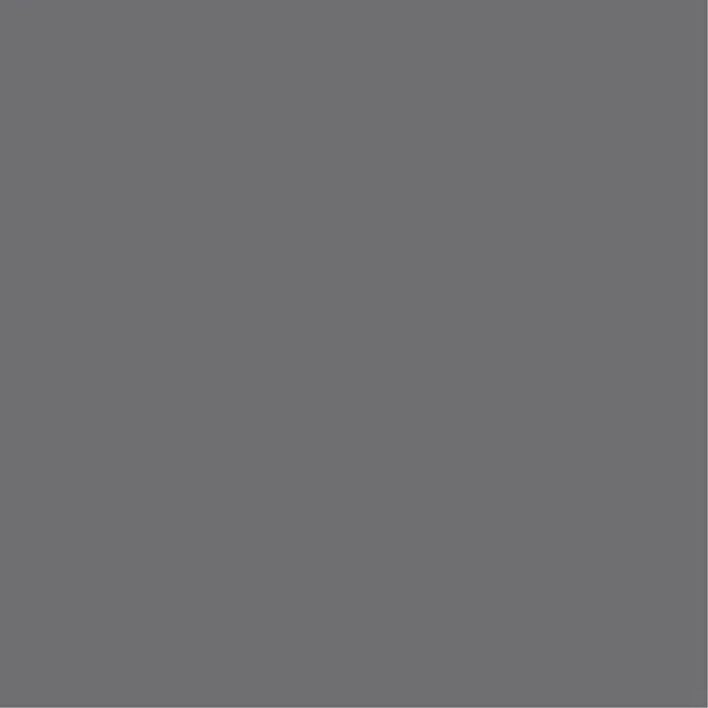 Pictura 8mm PG241 Gris - Biemar Bois