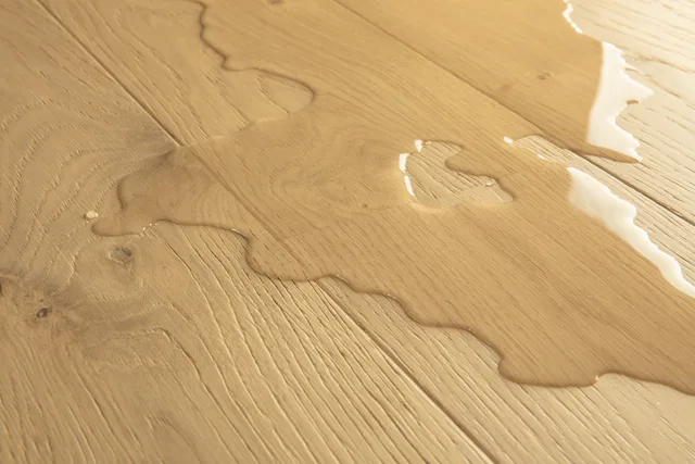 Amato Chêne Pur Extra Mat Quick-Step 1820x145x13 mm - Biemar Bois-13
