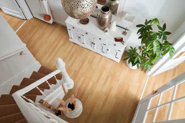 Sol stratifié LC 55 S avec sous-couche intégrée Erable 202 - Biemar Bois-1