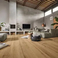Sol Design Next DL 500 S Chêne Vieux Bois Nature - Biemar Bois