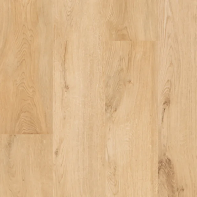 Vinylboden starr XL Dielen Floorify - Sabayon F101