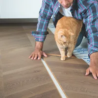 Quick-Step Intenso Chêne Éclipse Huilé 600x310x13 mm - Biemar Bois-7