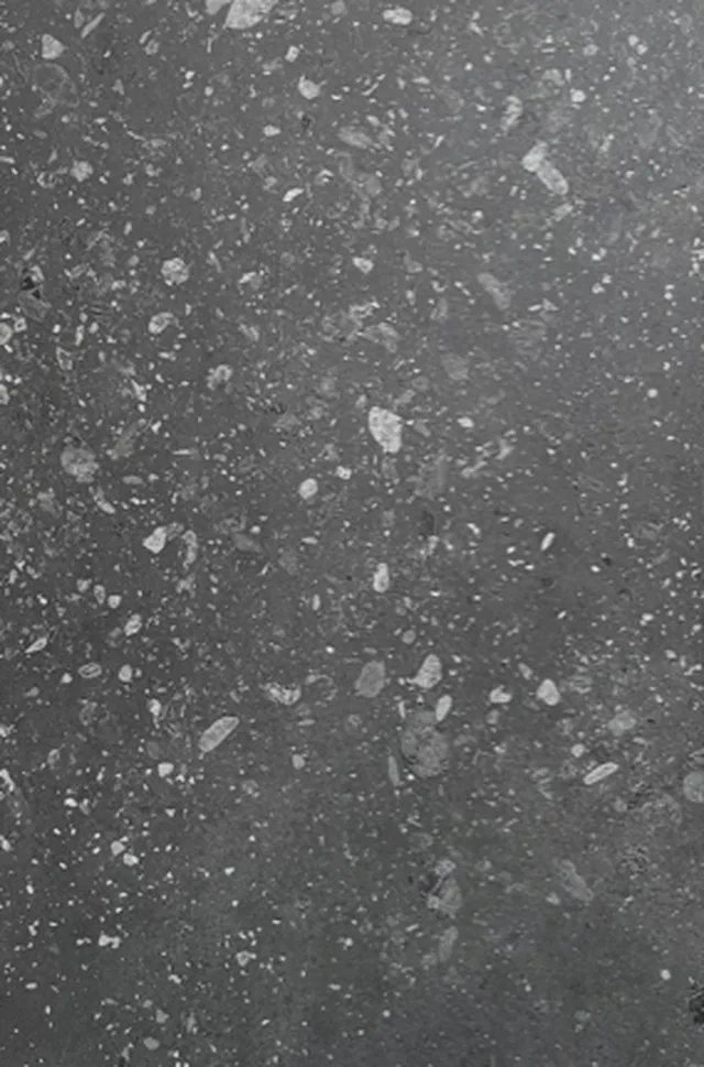 Panel-X NEXT Terrazzo PX-lock 2400*1180*11mm