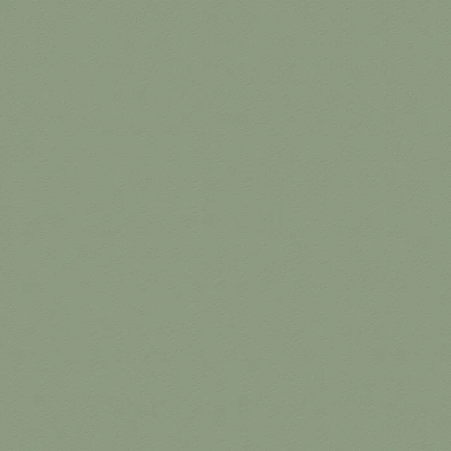 Trespa Meteon 8mm A35.4.0 ST Vert Cactus - Biemar Bois