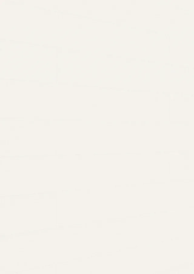 Lambris décor Terra DP 250 Bois blanc neige 20102 -2050*250*12mm
