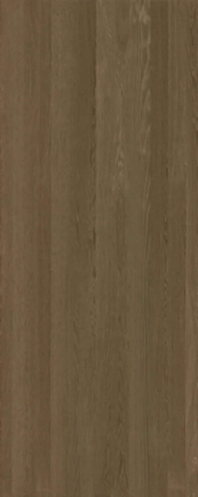 Querkus couvre-chant Placage TERRA-Mocha - Plain - sans colle - 0,6 x 24 / 100 m