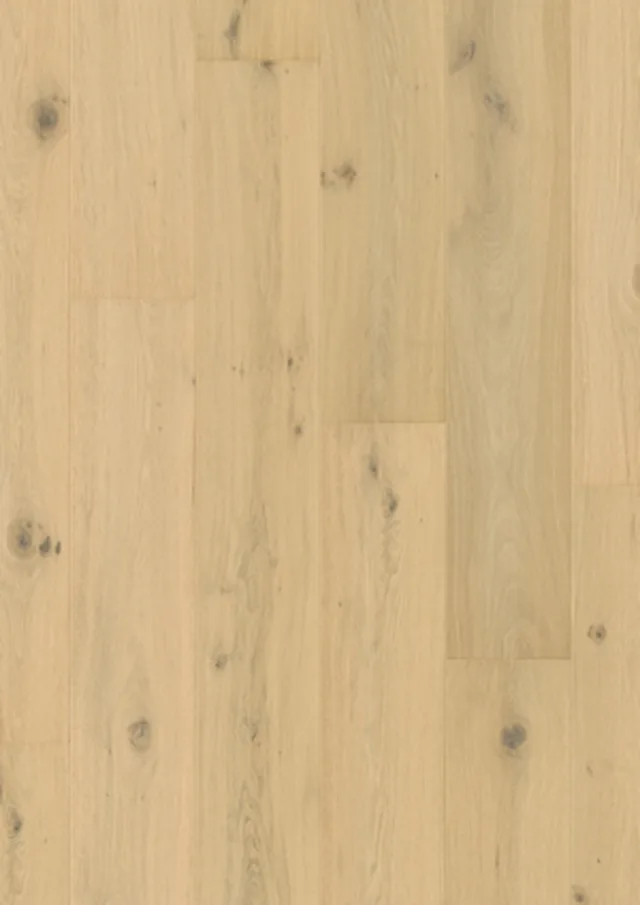 Quick-Step CAL - 7448 : Cala Chêne blanc perle extra mat 2200x220x13 mm