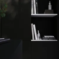 Stratifié 00113 CST + FILM ELEGANT BLACK - Biemar Bois-2
