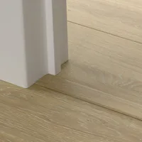 Profilé Incizo Couleur Assortie 2150x54x17 mm - Biemar Bois