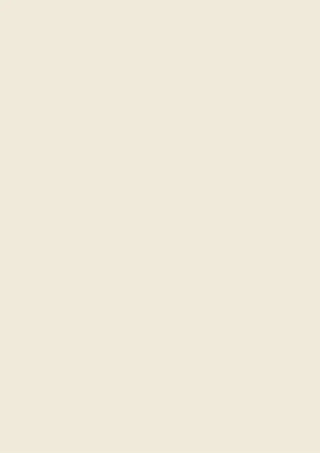Panel-X BASE 1611 Beige 4mm HPL 3050*1300 - Biemar Bois