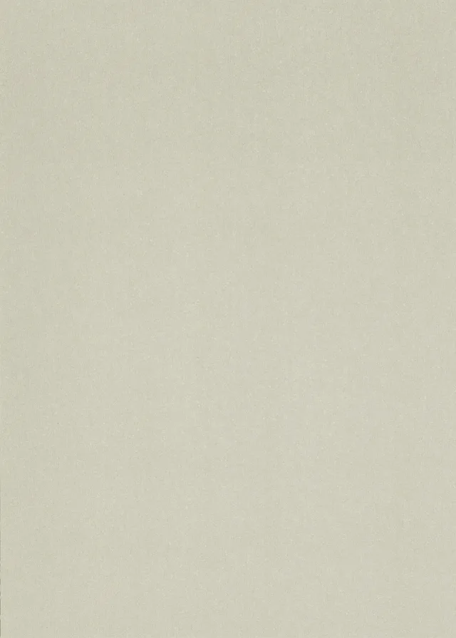 PANEL-X NEXT PX17480H - Panneau Argent Glam 2400x1200mm