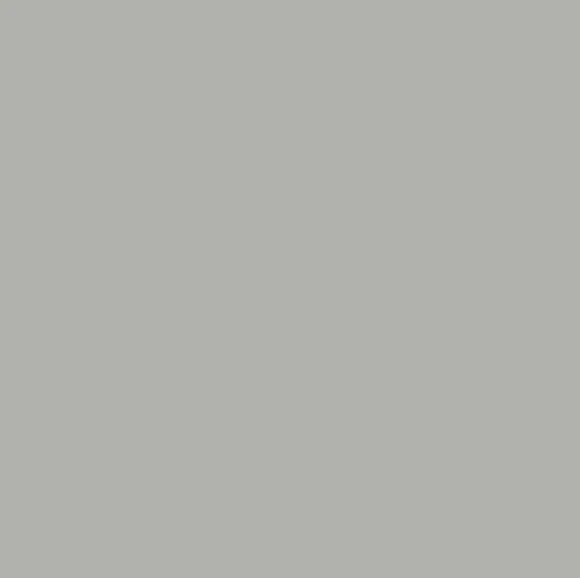 Stratifié Polyrey G003 FA Gris perle 2150x970x0,8mm