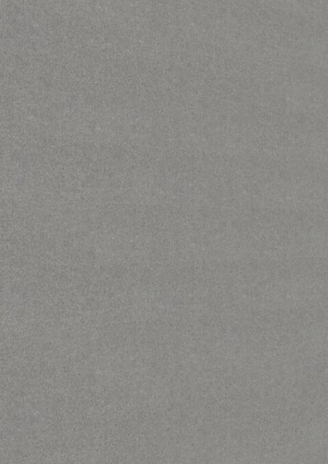 Lambris Bocado DP 250 Non-tissé Gris 1280x250mm - Biemar Bois-1
