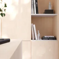 Mélaminé Unilin 18mm White Birch - Biemar Bois-3