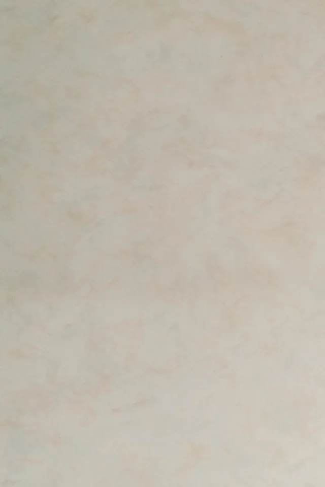 PANEL-X NEXT PX17099H Beige Eiger glans PX-lock 2400*1200*11mm 2,88m