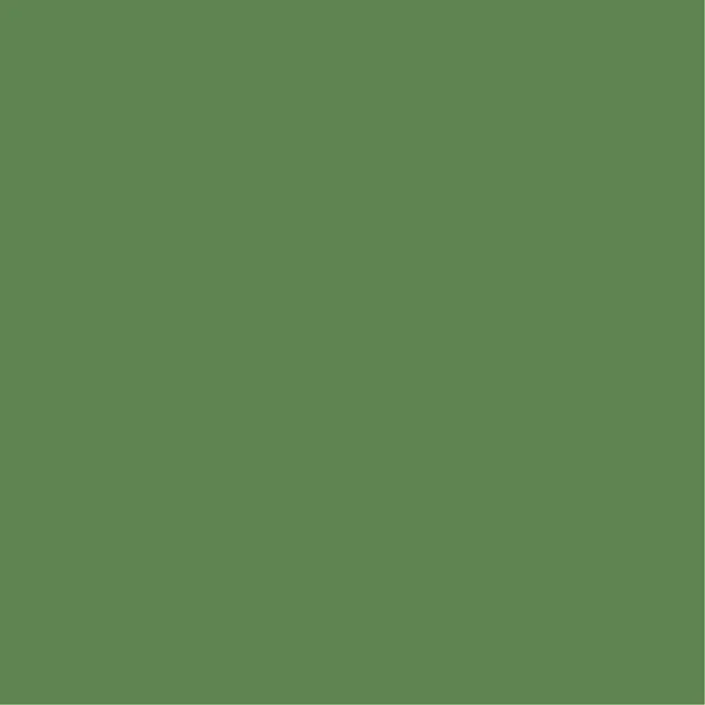 Pictura 8mm PG545 Vert - Biemar Bois