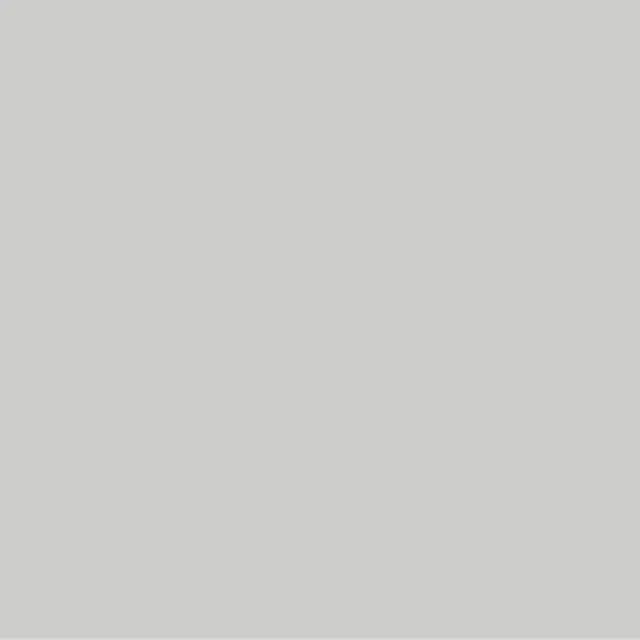 Pictura 8mm 313/128 PG243 GRIS (bords non rectifiés)
