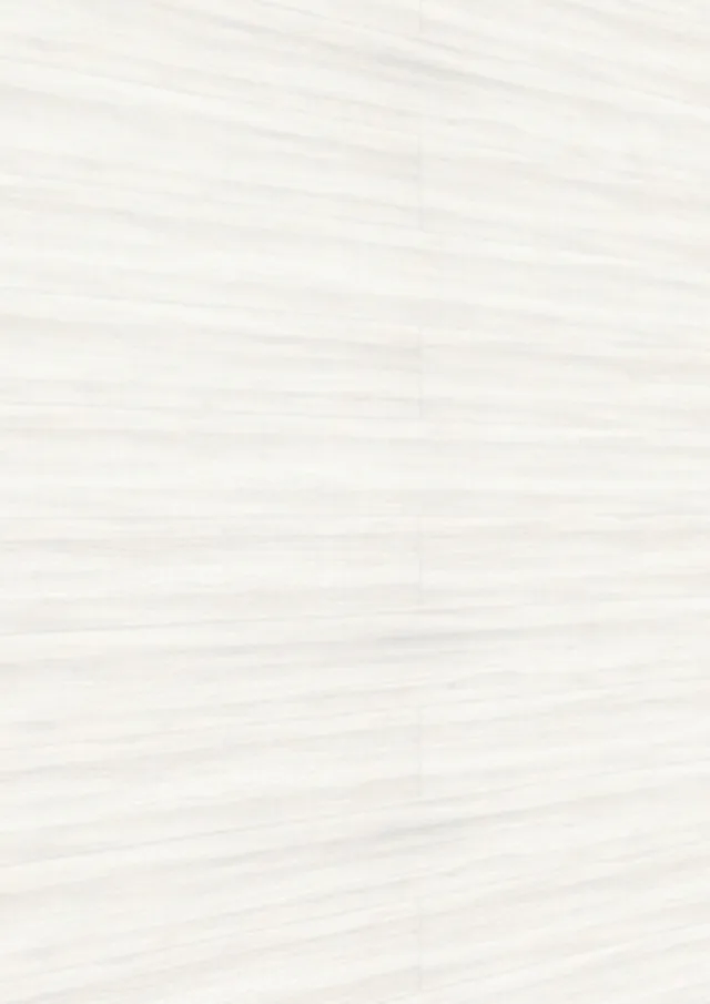 Lambris décor tertio DP 200 Bois blanc 20106 -1280*200*9,5mm