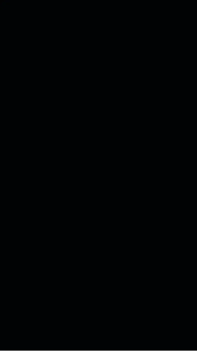 Trespa Izeon 6mm RAL 9005 Schwarz 3050/1530 mit Schutzfolie
