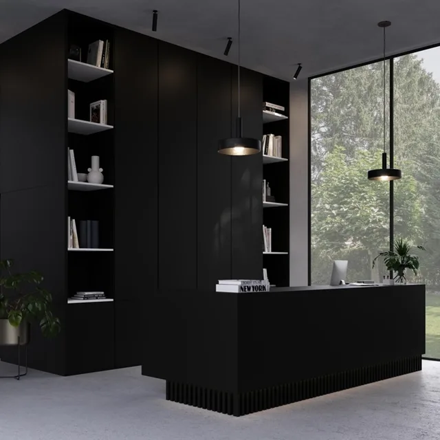 Stratifié 00113 CST + FILM ELEGANT BLACK - Biemar Bois-1