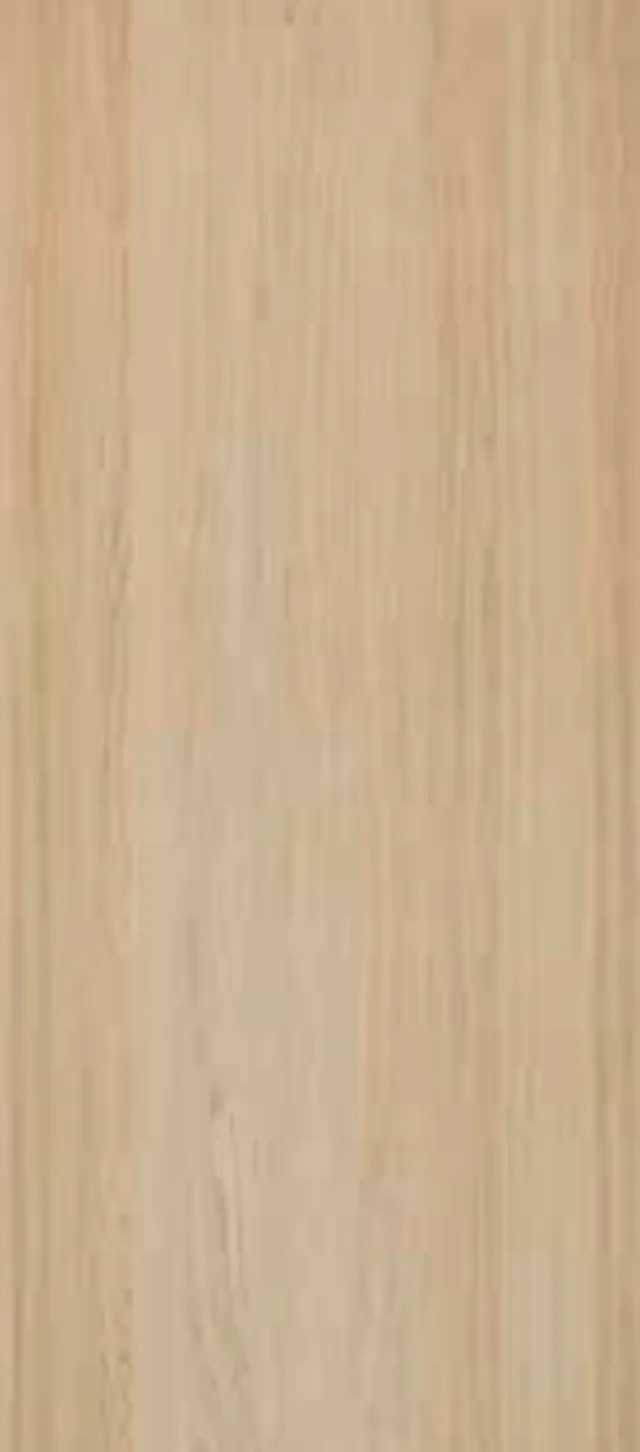 Shinnoki - Couvre Chants ABS - Ivory Oak - sans colle - 1 x 24 / 50m