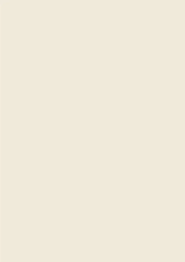 Panel-X BASE 1611 - Beige - 4mm HPL 3050*1300 - 3.96m2