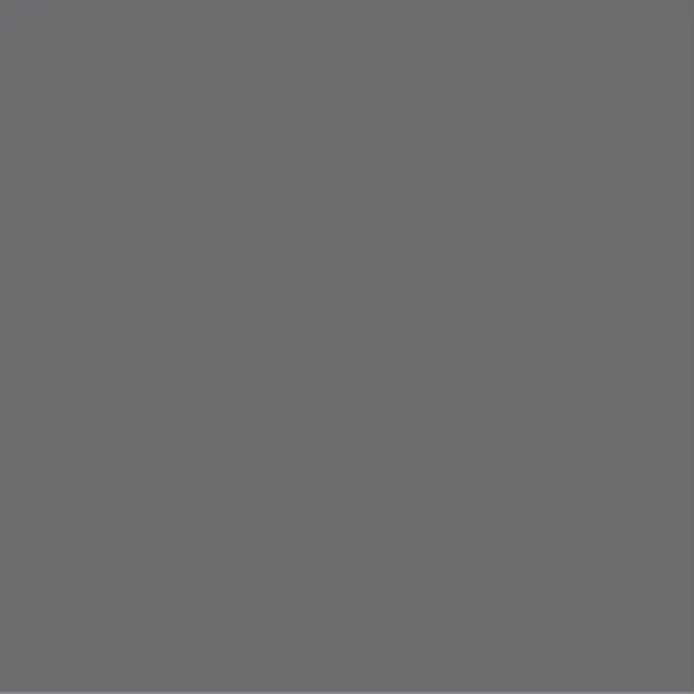 Pictura 8mm 313/128 PG241 GRIS (bords non rectifiés)