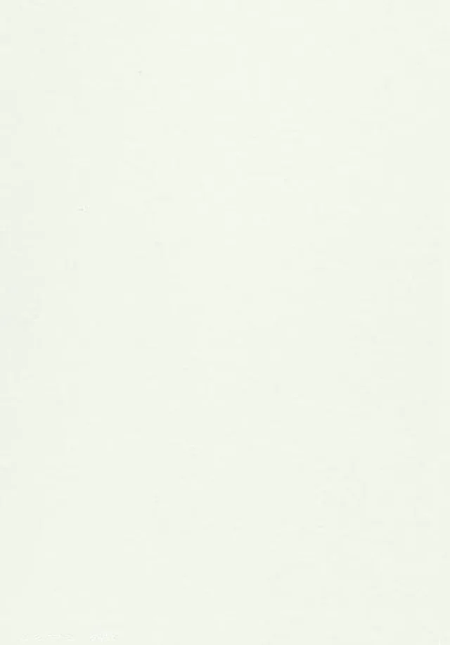 Panel-X PURE White Gloss 2400x580mm - Biemar Bois-1